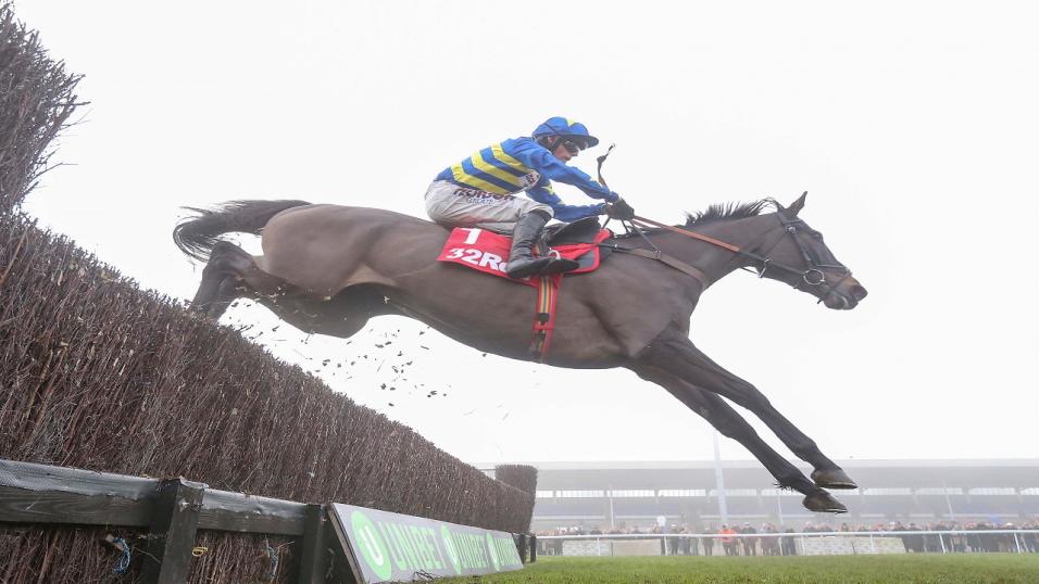 Horse jumping